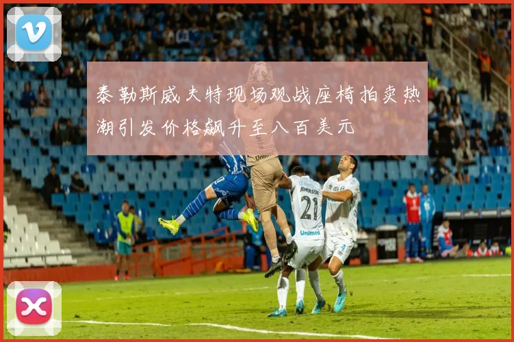 泰勒斯威夫特现场观战座椅拍卖热潮引发价格飙升至八百美元