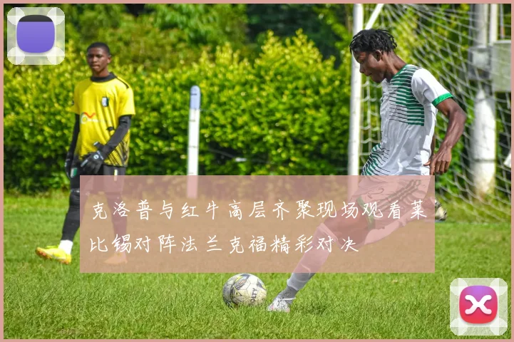 克洛普与红牛高层齐聚现场观看莱比锡对阵法兰克福精彩对决