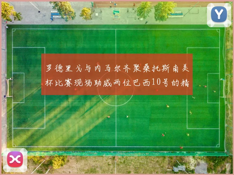 罗德里戈与内马尔齐聚桑托斯南美杯比赛现场助威两位巴西10号的精彩时刻
